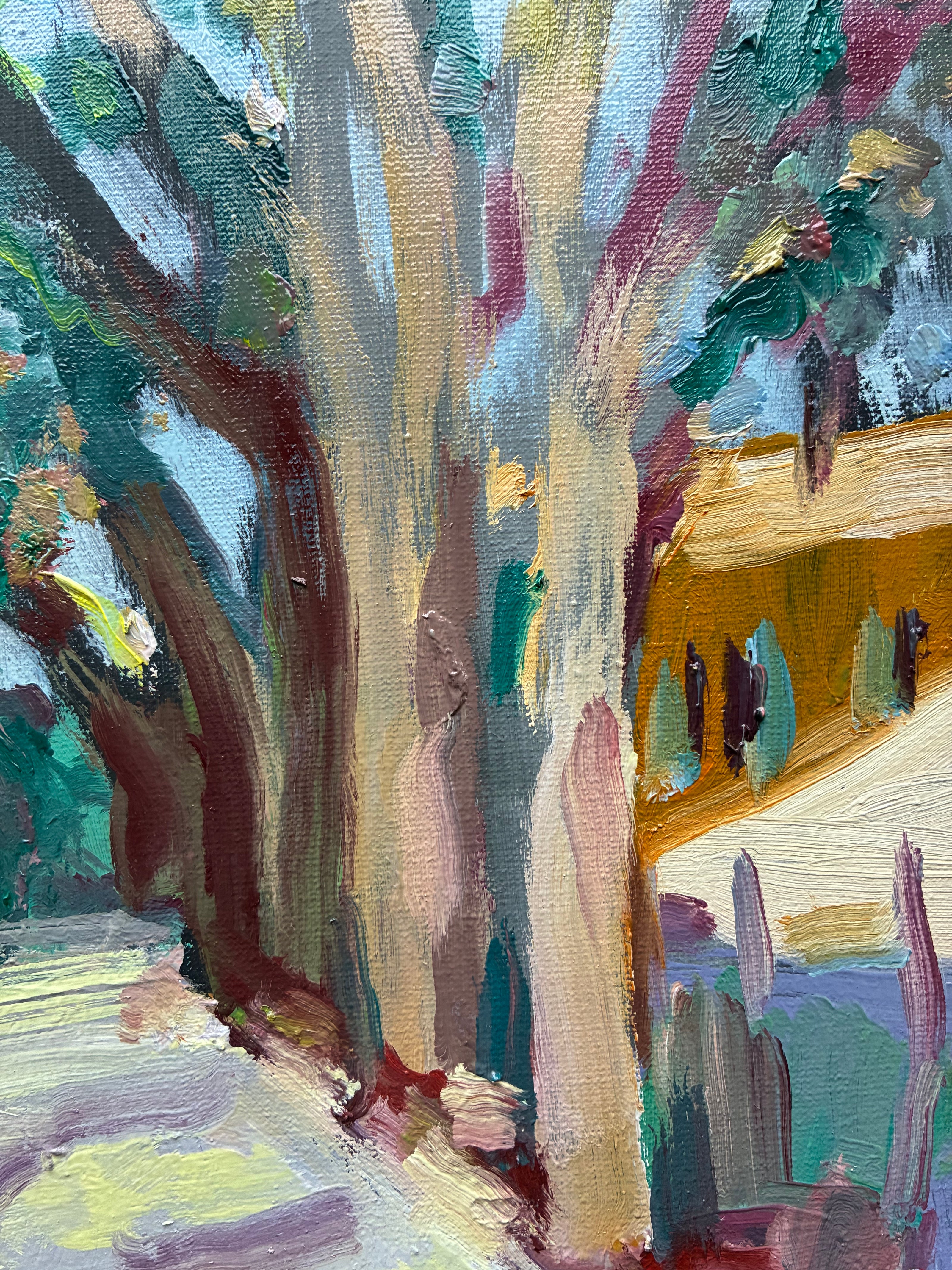 Bormes-Les-Mimosas