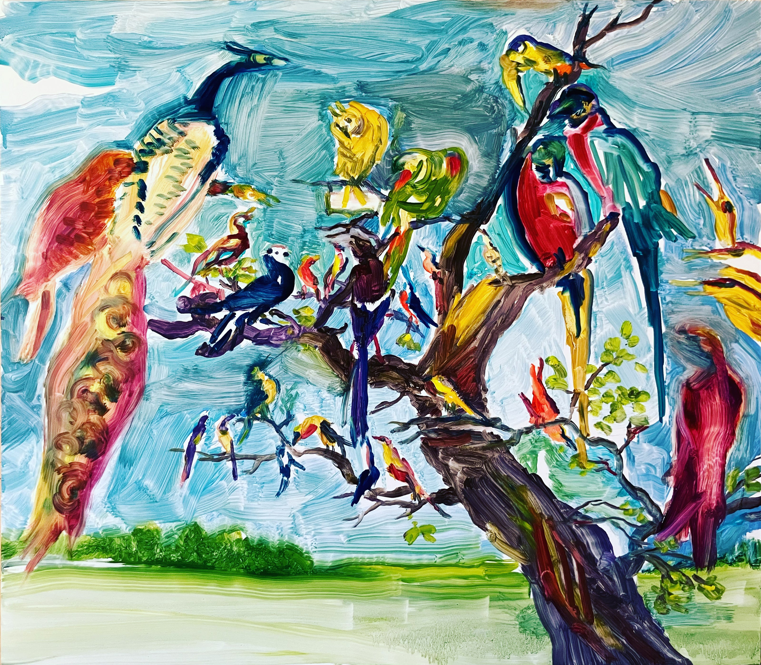 Concert of birds