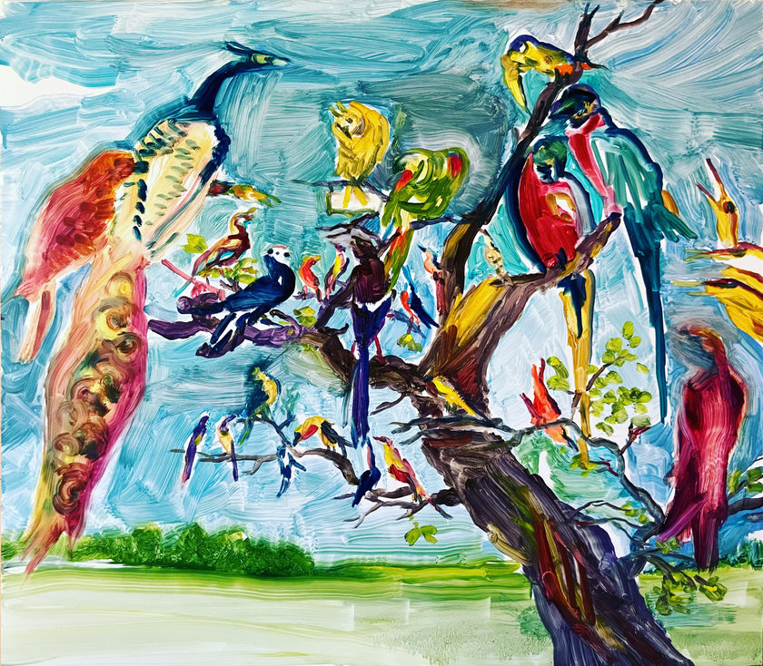 Concert of birds